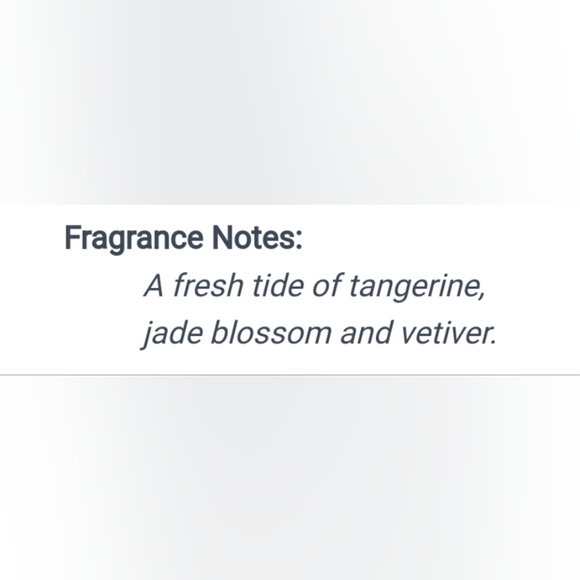 Scentsy Malani The Mermaid Buddy Clip Aloha Citrus Tangerine Jade Blossom - Picture 3 of 4